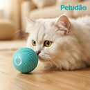 🔥 Bolinha Inteligente Que Rola Sozinha - Seu Pet Vai Ficar VICIADO!