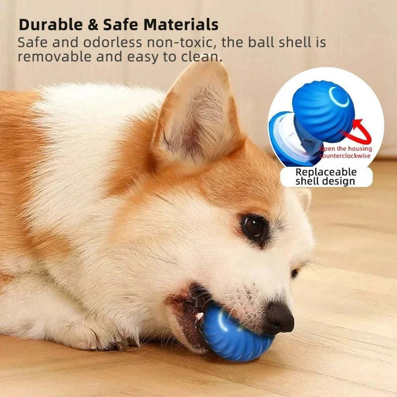 Bolinha Eletrônica Para Cachorro Brincar Movimento Automatico Recarregavel USB