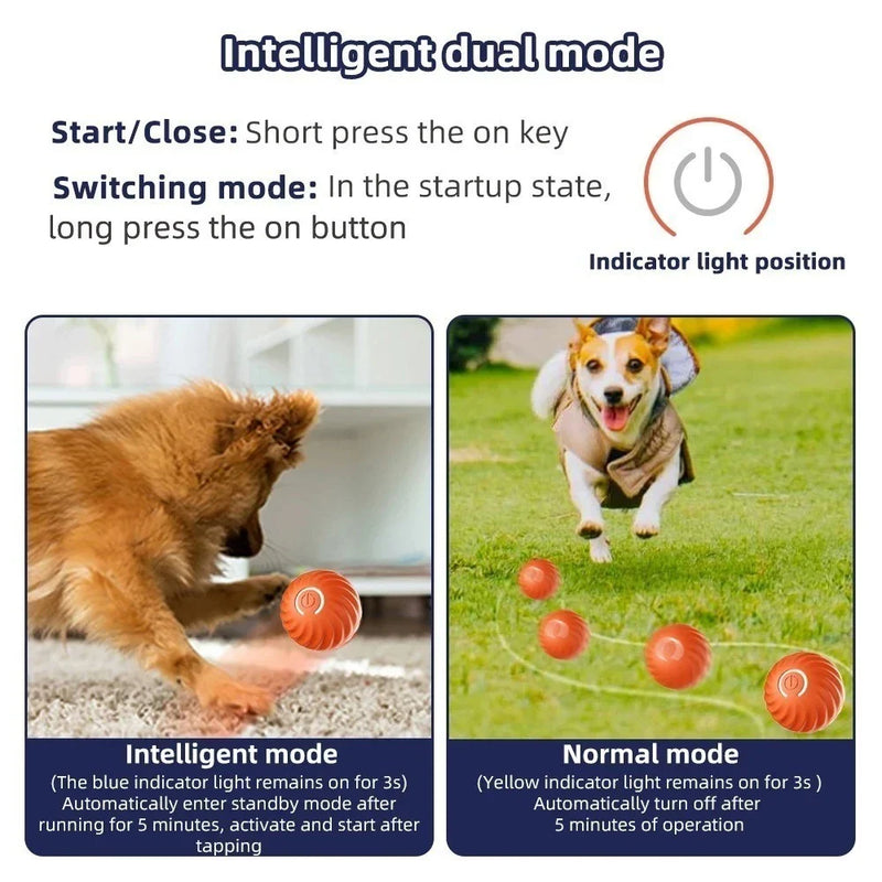 Bolinha Eletrônica Para Cachorro Brincar Movimento Automatico Recarregavel USB